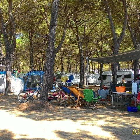 PIAZZOLA - Animali domestici ammessi