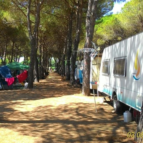 PIAZZOLA - Animali domestici ammessi