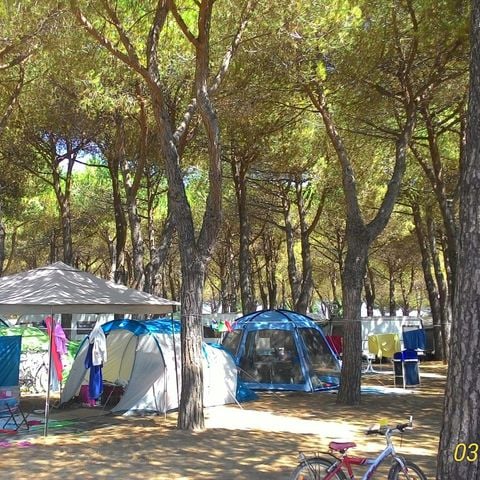 PARCELA - Se admiten animales de compañía