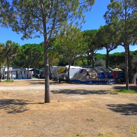 Pitch - Piscine-Plein air - C17