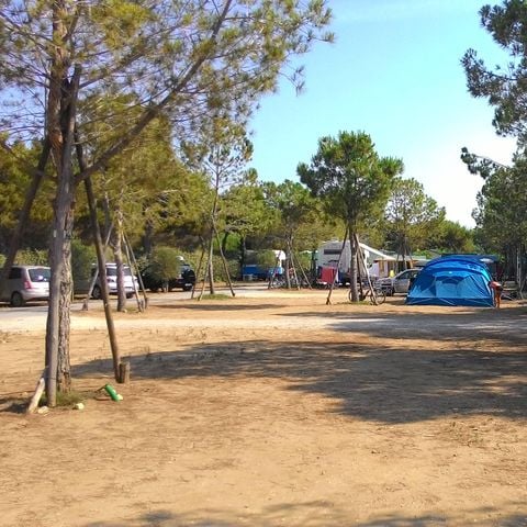 Pitch - Piscine-Plein air - C17