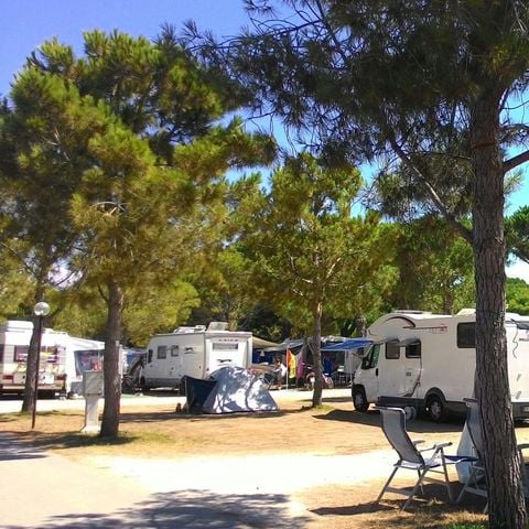 STAANPLAATS - Standaard - huisdier toegestaan