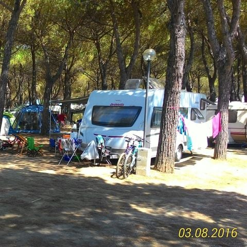 PARCELA - Confort - (se admiten animales)