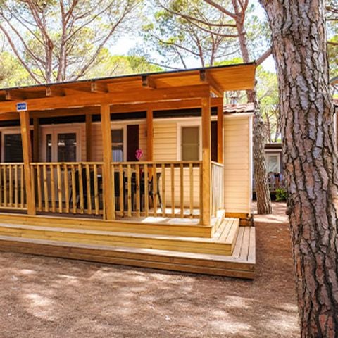 MOBILHOME 4 personnes - Lodge Comfort Plus