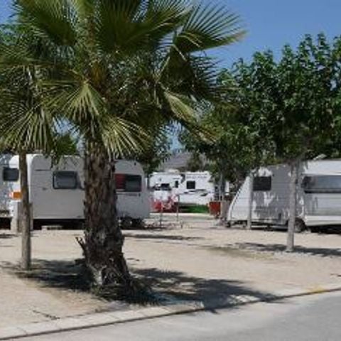 Kampeerplaats - PARCELA ROJA