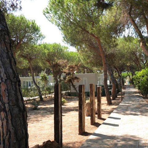 MOBILE HOME 4 people - Torre Riviera Superior