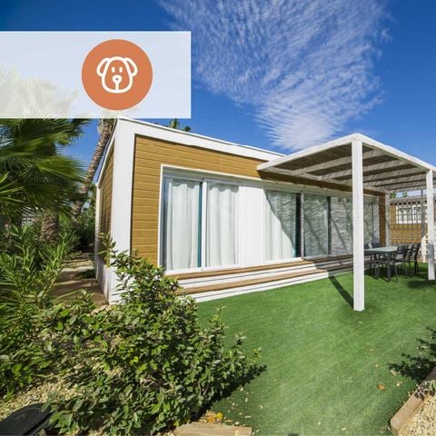 Bungalow 2 personen - Cacao - Capaciteit 2 Personen