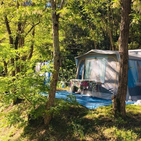 Pitch - Aloha package + 1 car + electricity