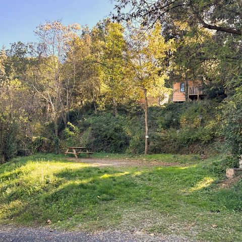 Stellplatz - Aloha-Paket + 1 Auto + Strom