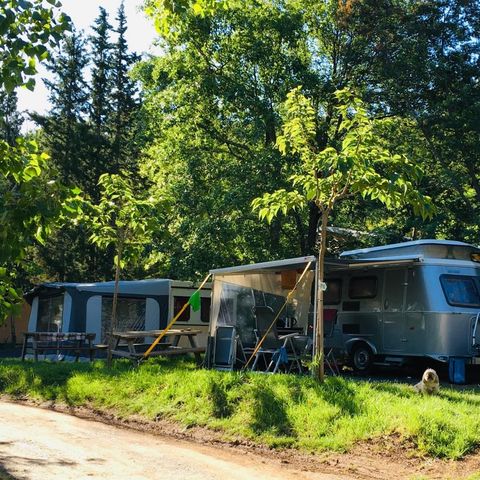 Kampeerplaats - Aloha pakket + 1 auto + elektriciteit