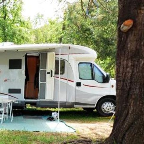 Stellplatz - Standardpaket + 1 Auto