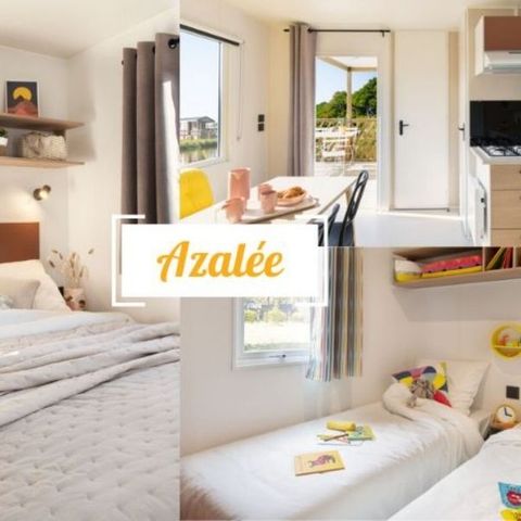 BUNGALOW 6 personnes - Cottage Premium Azalée (2ch)