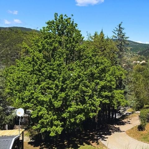 MOBILE HOME 4 people - Cottage Premium Azalée (2ch)