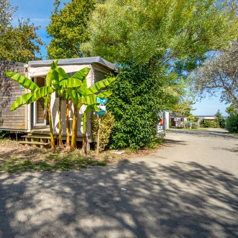 MOBILE HOME 2 people - Mobile-home 1 Bedroom Comfort 2 People