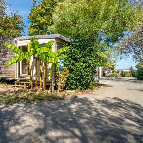 Mobile home 2 persons - Mobile-home 1 Bedroom Comfort 2 People