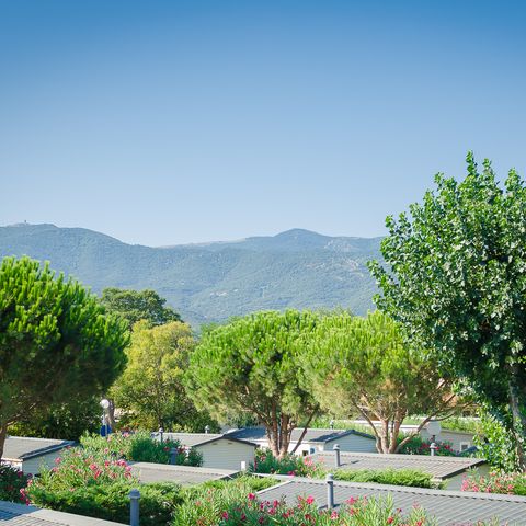 Camping la Plage Argelès Camping la Plage Argelès - Camping Pyrenees-Orientales - Image N°13