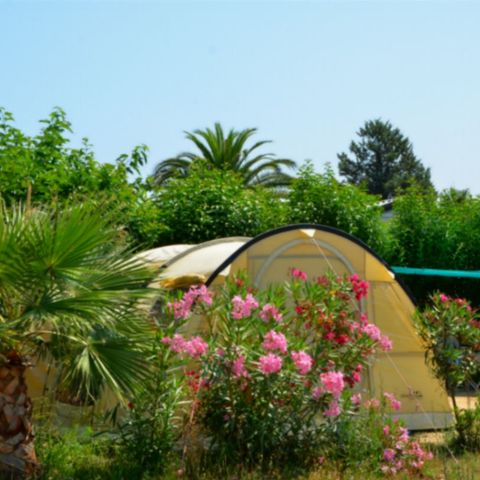PLOT - Campsite