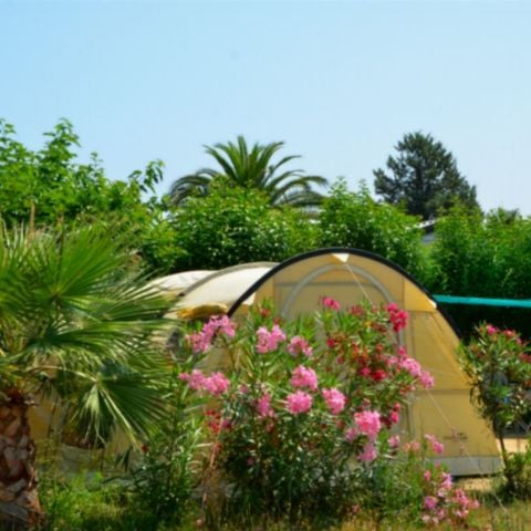 Kampeerplaats - Camping
