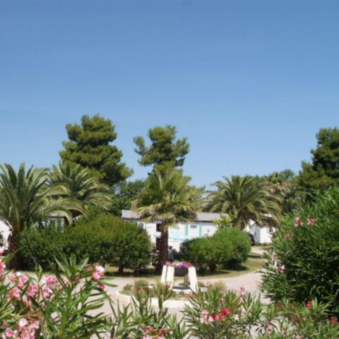 Kampeerplaats - Camping