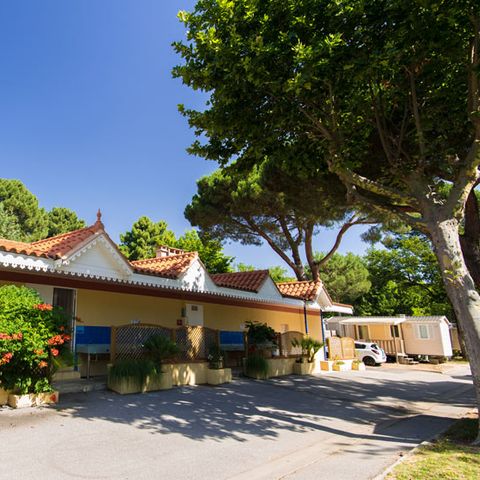 PIAZZOLA - con l'elettricità