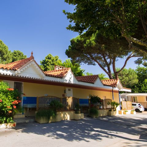 PIAZZOLA - con l'elettricità