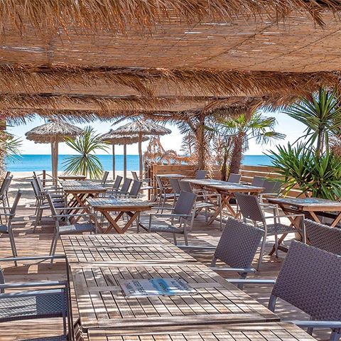 Camping le Front de Mer Camping le Front de Mer - Camping Pyrenees-Orientales - Image N°15
