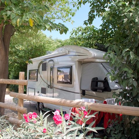 PLOT - Pitch with or without vehicle + caravan, tent or camper van