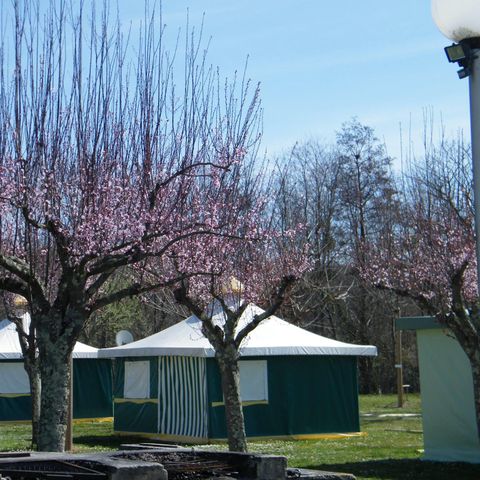 Glamping tent 4 persons - BENGALI