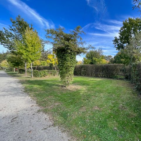 Stellplatz - Forfait Confort (1 Zelt, Wohnwagen oder Wohnmobil / 1 Auto / Strom 16A)