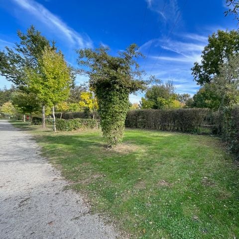 PARCELA - Paquete confort (1 tienda, caravana o autocaravana / 1 coche / electricidad 16A)