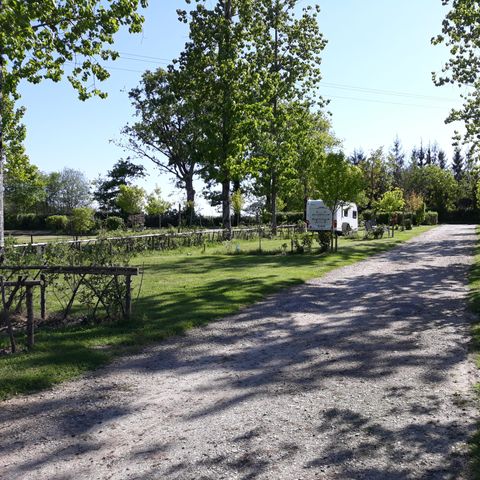 PIAZZOLA - Pacchetto comfort (1 tenda, roulotte o camper / 1 auto / elettricità 16A)