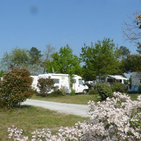 STAANPLAATS -  1 persoon pakket: standplaats + 1 auto zonder elektriciteit - 90m² 1 pers.