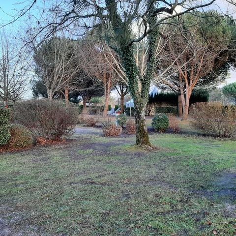 Pitch -  1 person package: pitch + 1 car without electricity - 90m² 1 pers.