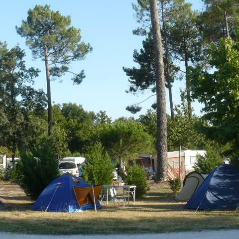 PIAZZOLA -  Pacchetto 1 persona: piazzola + 1 auto senza elettricità - 90m² 1 pers.