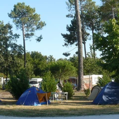 Pitch -  1 person package: pitch + 1 car without electricity - 90m² 1 pers.