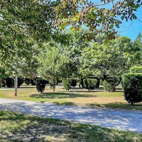 Stellplatz - Pauschale für 2 Personen: Stellplatz + 1 Auto ohne Strom - 90m².