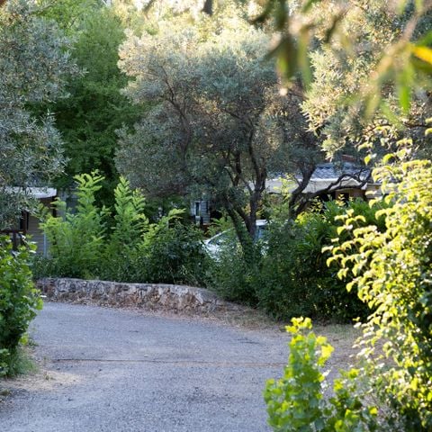 PIAZZOLA - veicolo + tenda/roulotte/camping-car