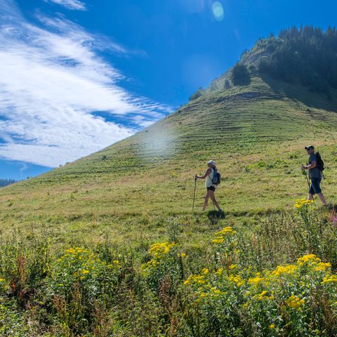 Résidence Goélia Le Sornin - Camping Isère - Image N°6