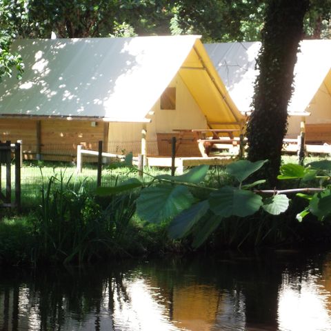 Glamping tent 4 persons - Bungalow Amazone Standard 20m² / 2 bedrooms - terrace (no private bathroom)