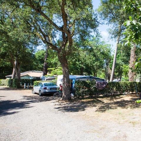 PLOT - Pitches + one vehicle