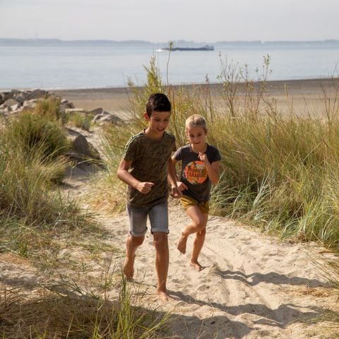 Camping Scheldeoord - Camping Borsele - Image N°3