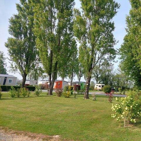 PIAZZOLA - Pacchetto comfort (1 tenda/caravan o camper/1 auto/10A di elettricità)