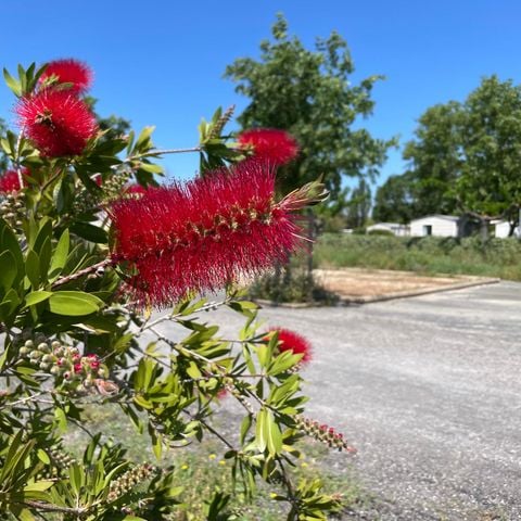 Pitch - HIKING PACKAGE - 1 person on foot or by bike, without electricity