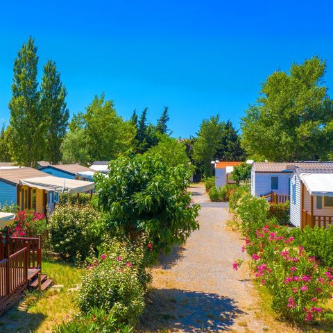 Camping Ensoya Camping Ensoya - Camping Aude - Image N°19