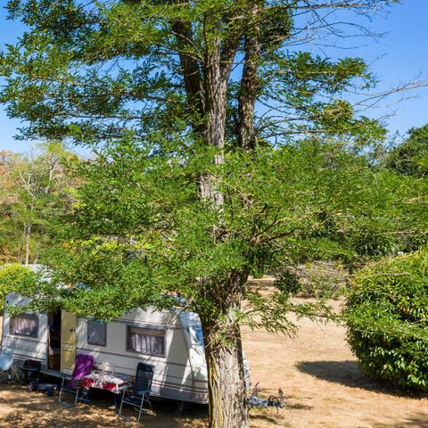 PIAZZOLA - Pacchetto comfort, con elettricità