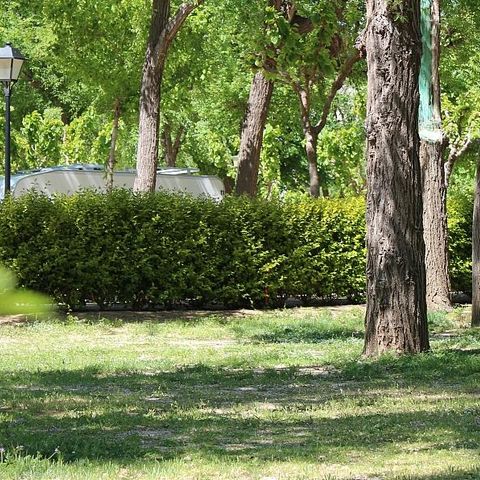 PLOT - Plus Pitch + 1 car + tent, caravan or motorhome + electricity 2/6 pers