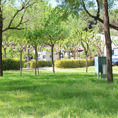 PLOT - Plus Pitch + 1 car + tent, caravan or motorhome + electricity 2/6 pers