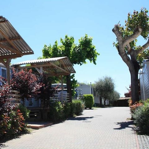 BUNGALOW 5 personnes - ALBATROS