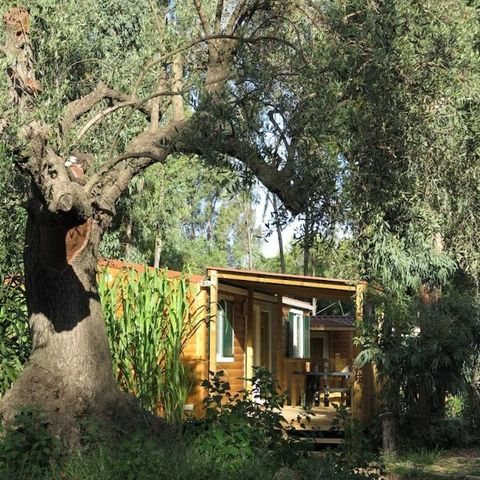 Mobile home 4 persons - Giada Superior