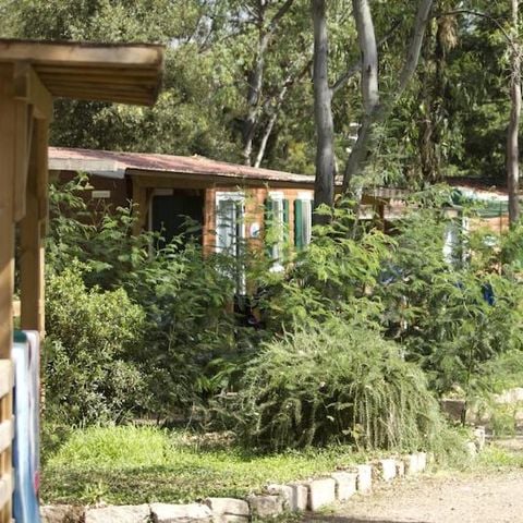 Mobilheim 8 Personen - Giada